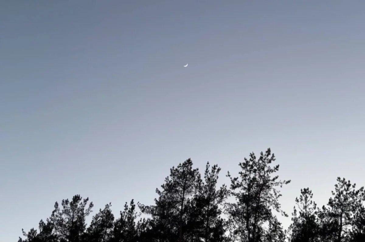    Гражданину под Пензой запретили авиационную обработку сельскохозугодий