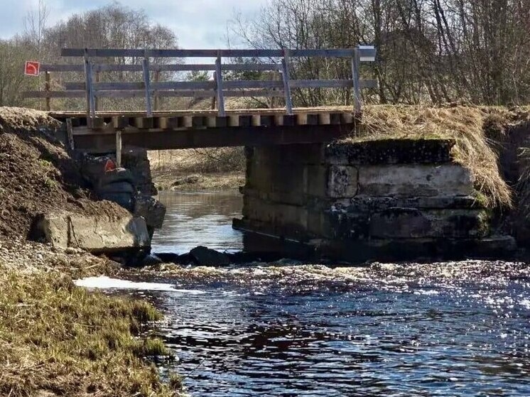     В Батецком округе работы проведут на переправе через реку Удрайка между деревнями Малая и Большая Удрая. Фото: пресс-служба Минтранса Новгородской области