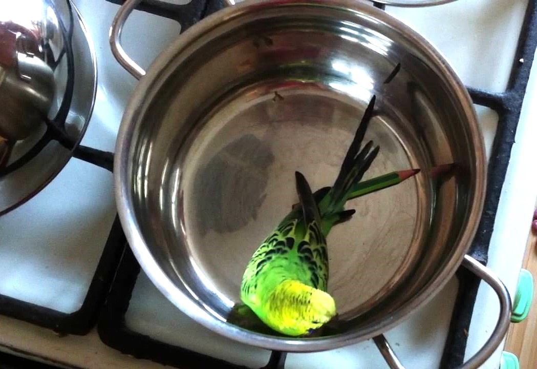 Опять неприятность