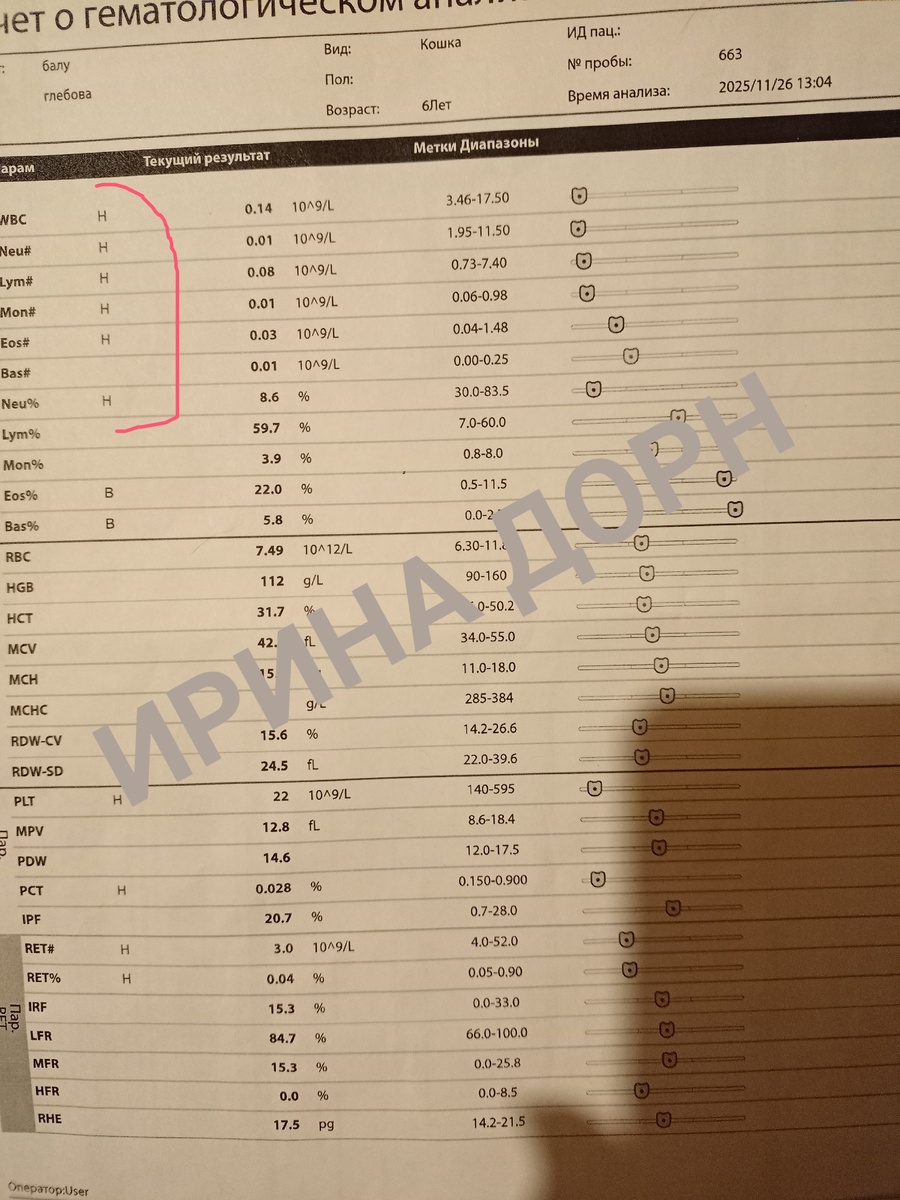 ОАК Балу (острая фаза панлейкопении)