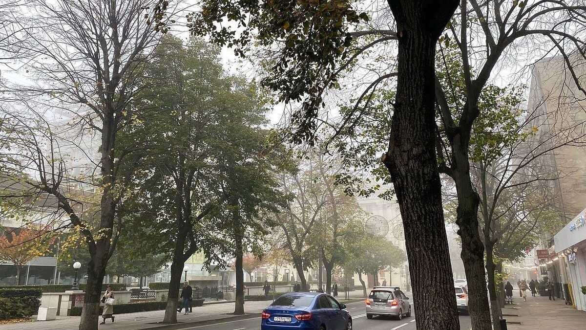    Фото: телеканал «Краснодар»