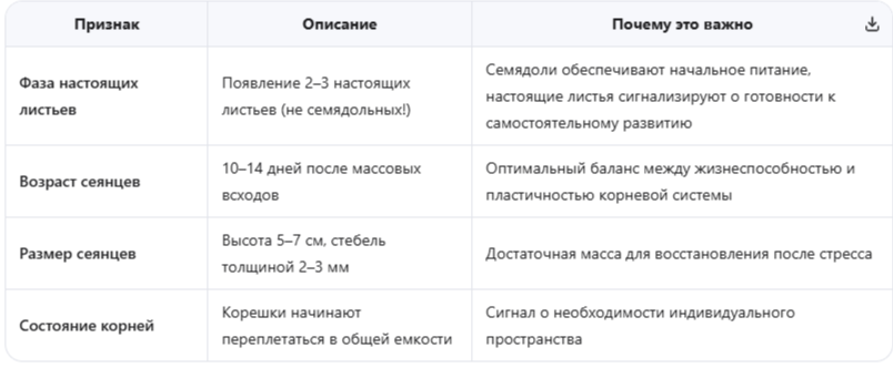 Ключевые признаки готовности рассады к пикировке