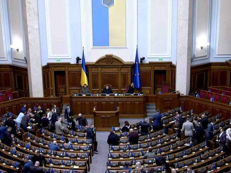     Верховная Рада Украины. Фото: кадр из видео.