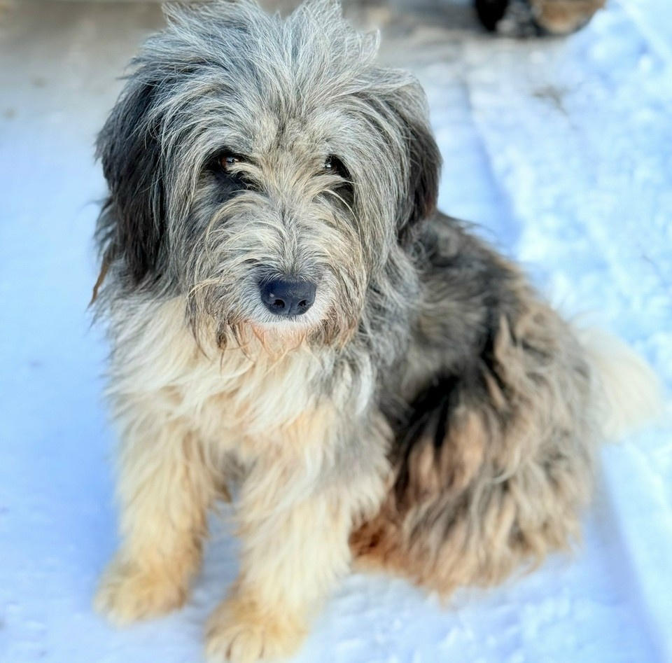    Фото: соцсети