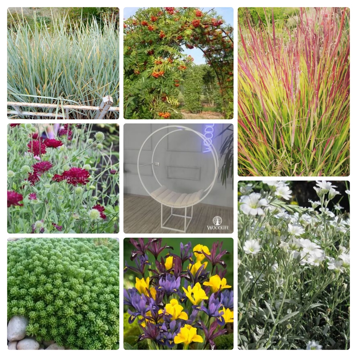 Коллаж автора из сохраненных интернет-фото. Немного сумбурно, но, мне кажется, будет свежо и ненавязчиво.