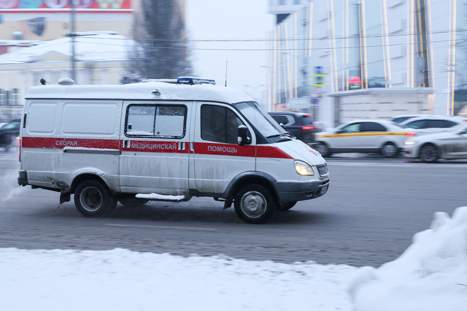    Алексей Белкин/NEWS.ru