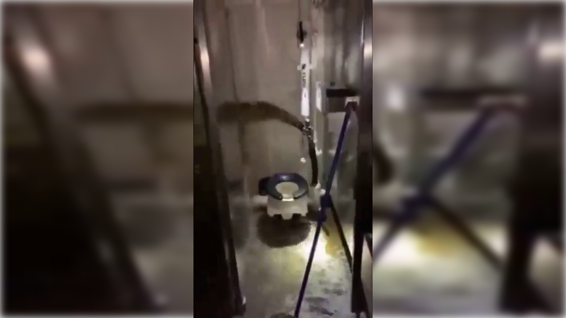 Кадр видео: соцсети