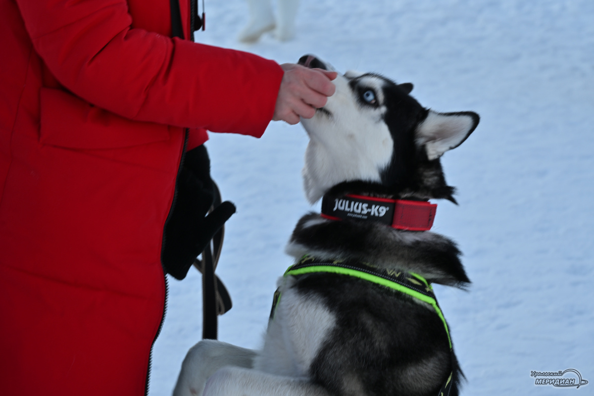    Фото: Анастасия Сибирякова © ИА «Уральский меридиан»