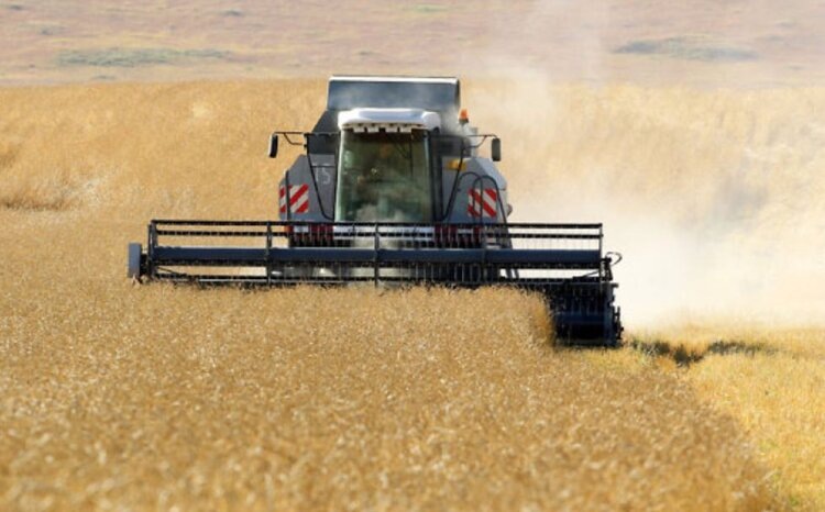    Фото: Пресс-служба Минсельхоза Забайкальского края