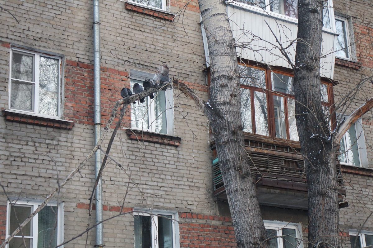 было градусов 22-24, думаю...