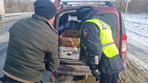    Фото ГУ МВД РФ по Самарской области