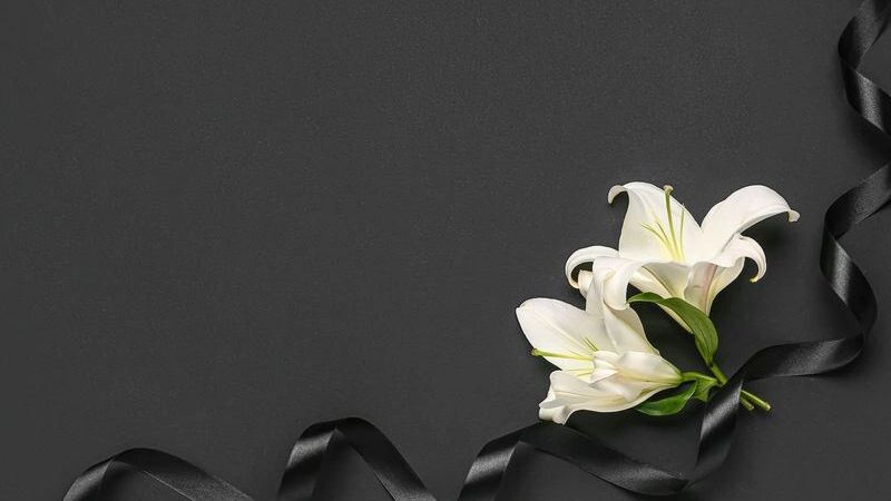    Фото: Pixel-Shot/Shutterstock/Fotodom