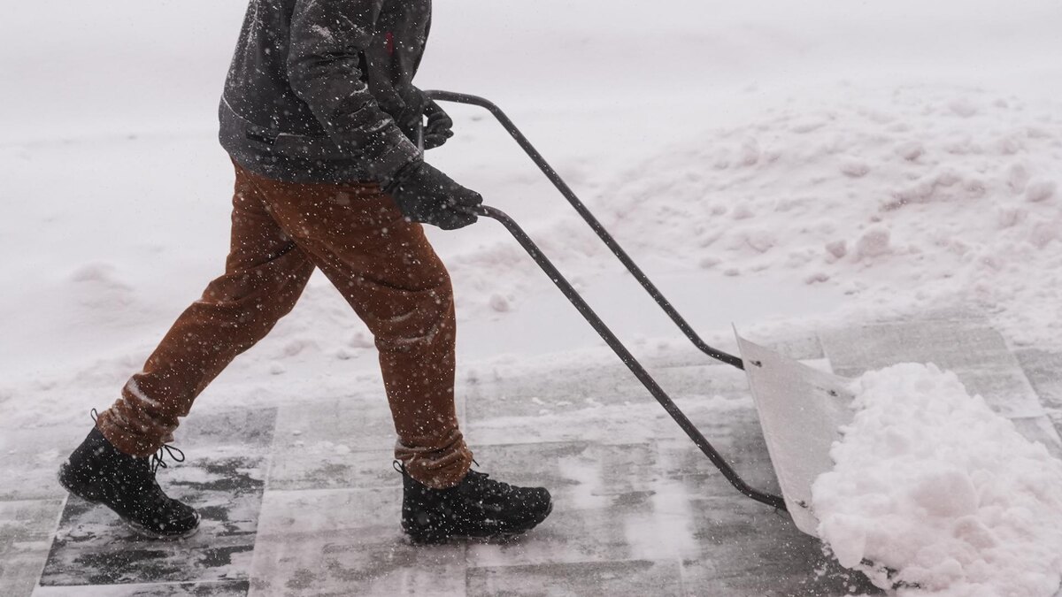    Фото: ИЗВЕСТИЯ/Андрей Эрштрем