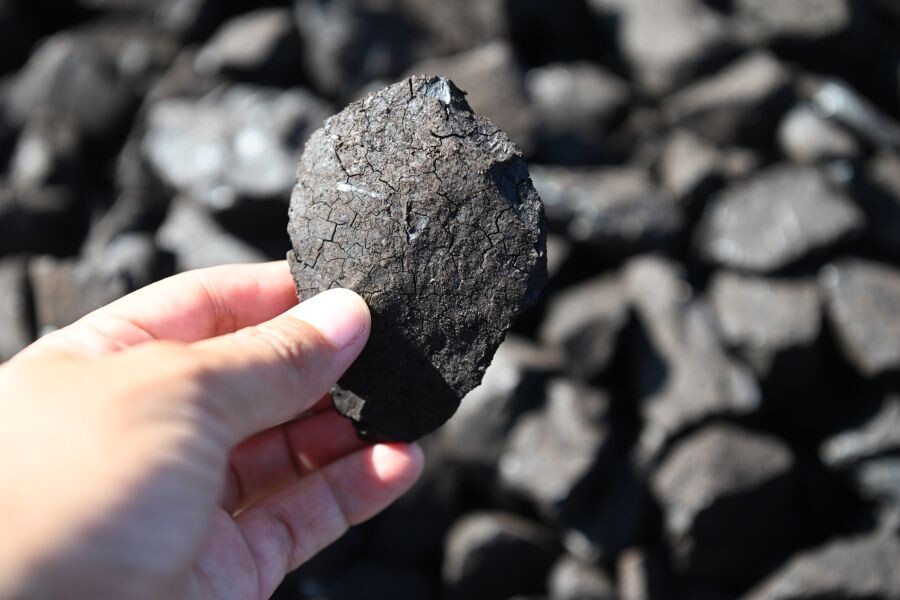     / Источник: © Кристина Кормилицына/РИА Новости