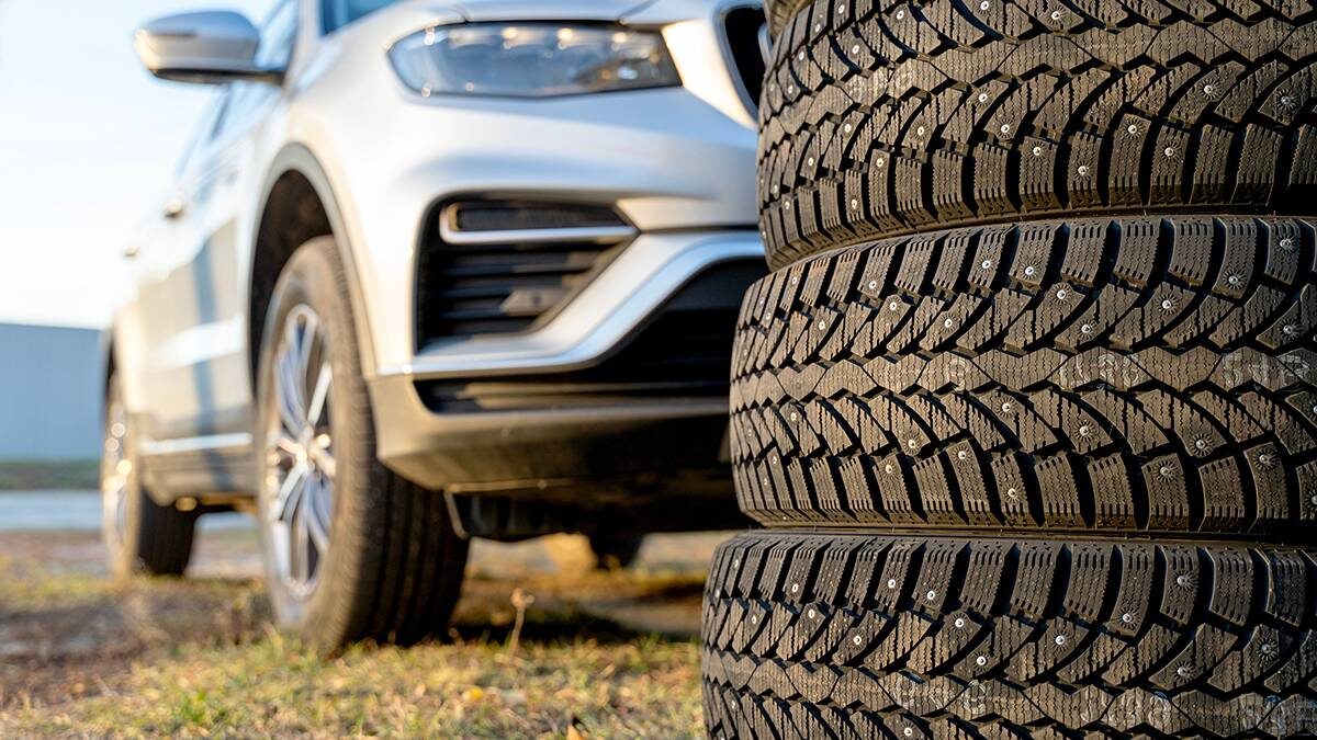    Фото: Shutterstock