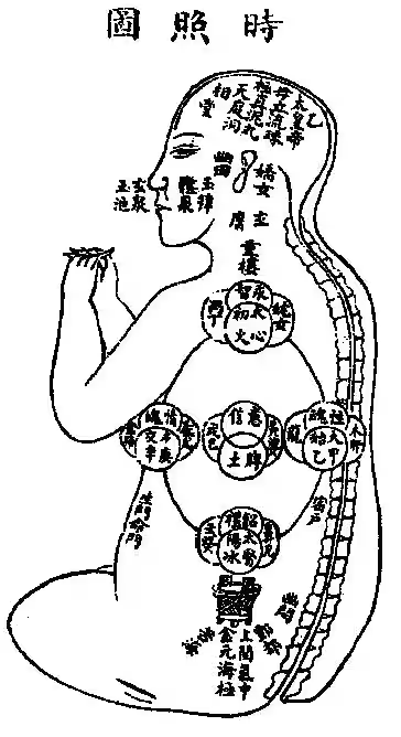 Руководство по жизни и смерти. Временная диаграмма «Шичжао ту» (時照圖 ). Это один из важнейших графических текстов внутренней алхимии (нэйдань), описывающий циркуляцию ци по Микрокосмической орбите (сяо чжоутянь) в соответствии с двенадцатью двухчасовыми периодами суток (шичэнь).