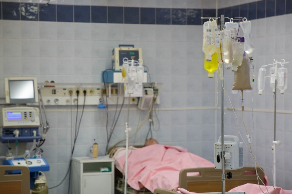    В Димитровграде за неделю мышиная лихорадка подтвердилась у восьми ульяновцев Архив "КП"