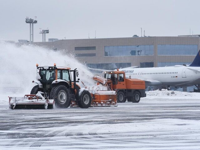    Фото: Москва 24/Никита Симонов