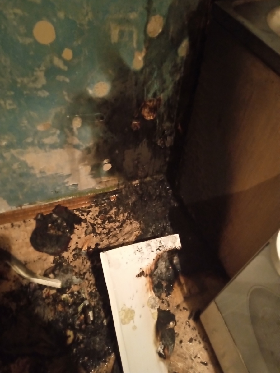 Фото: Противопожарная служба Курской области