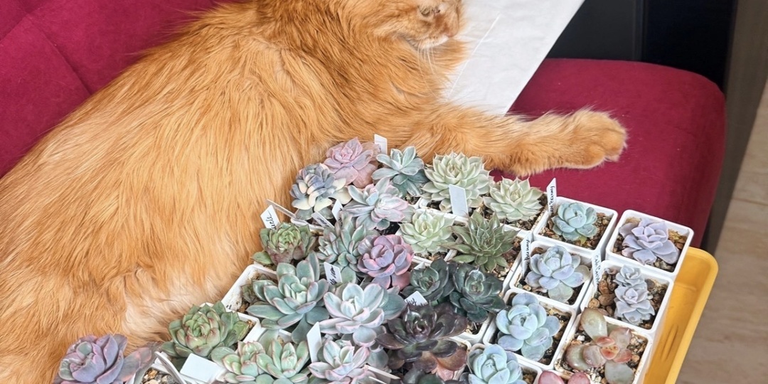 Альбом «Зимние бронирование» открыт для вас