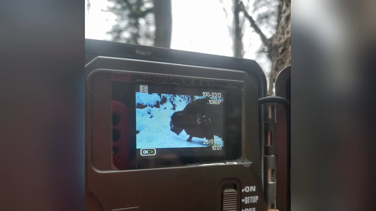    Фото t.me/kavkazzapoved