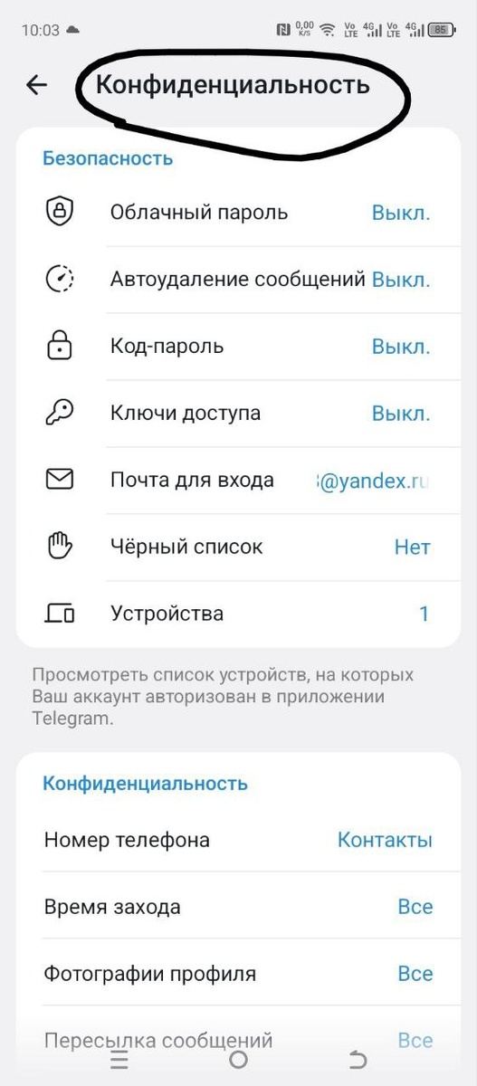 Фото автора.