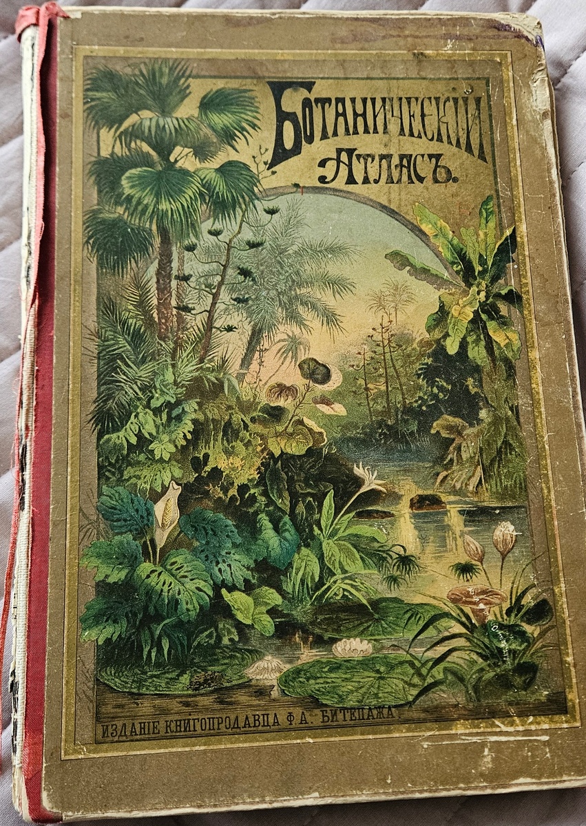 книга и фото автора