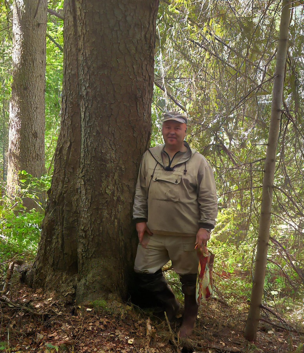 В интернете гуляет теория: «На старых фото нет деревьев и травы — значит, в XIX веке была катастрофа. Ядерная война. Или метеорит. Или ещё что похуже». Звучит жутковато. Особенно когда смотришь на пустые пейзажи и сравниваешь с сегодняшними лесами.