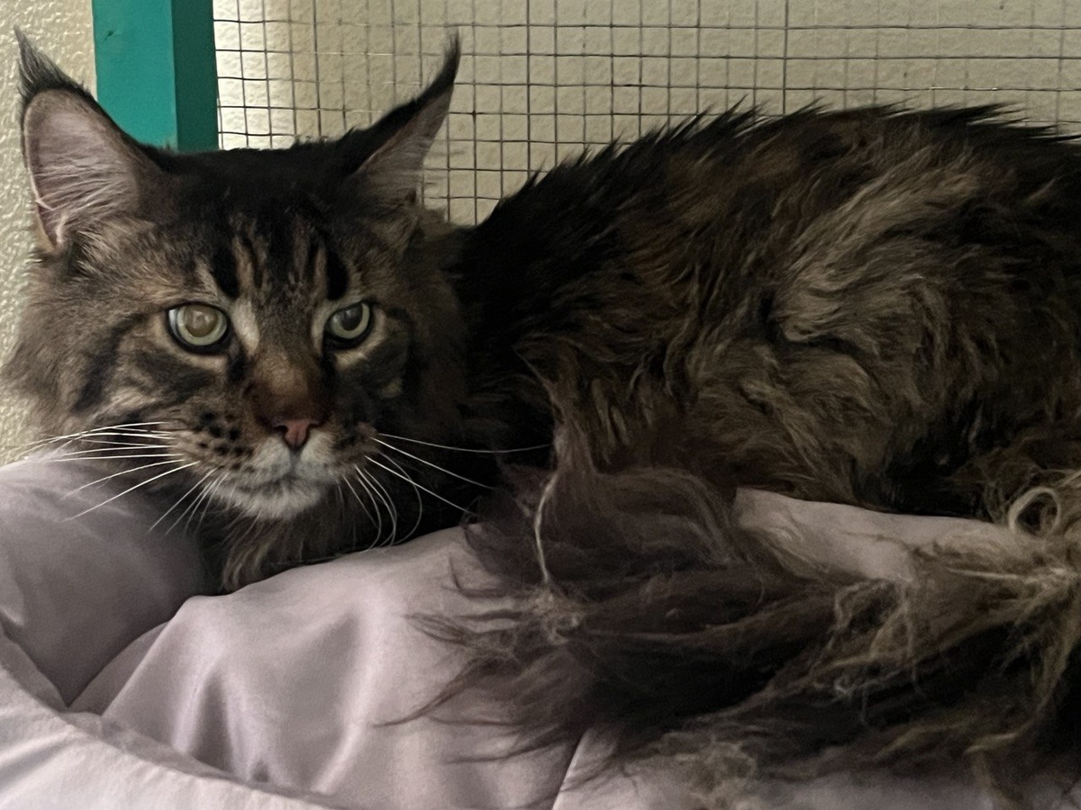 Мне очень страшно. Я не ел от ужача два дня