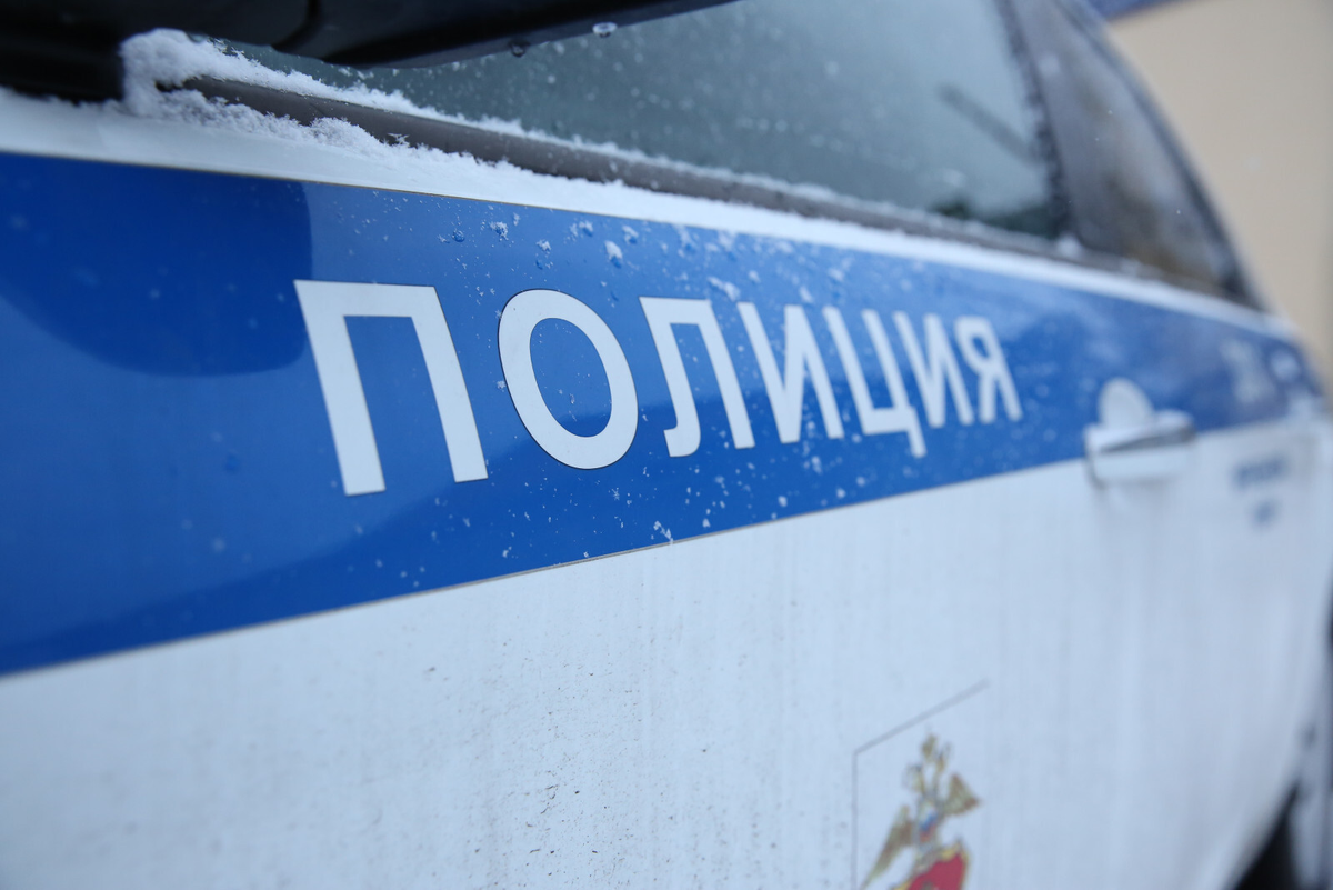 Фото: Дмитрий Фуфаев