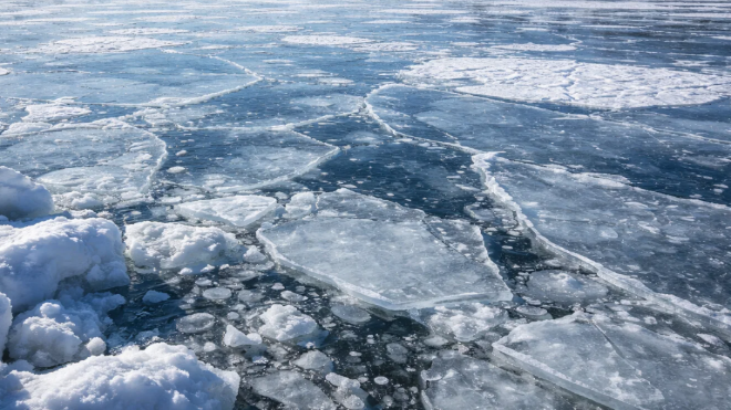 Фото: Изображение создано при помощи нейросети