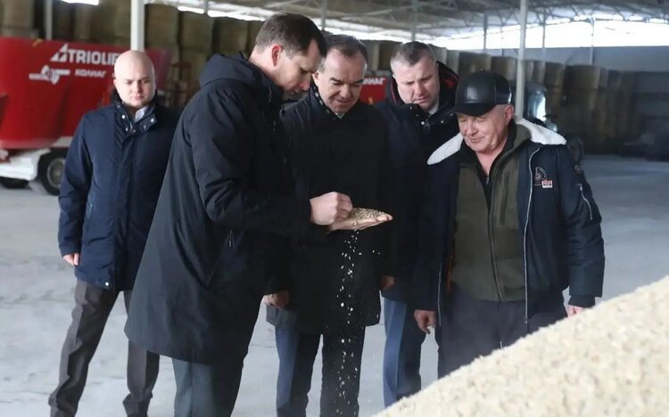    Фото: Пресс-служба Администрации Краснодарского края