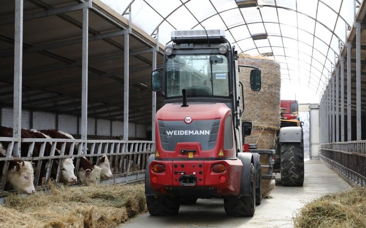 Фото: пресс-служба Администрации Краснодарского края.📷    Кубанский мясной кооператив по животноводству полностью обеспечивает себя кормами

