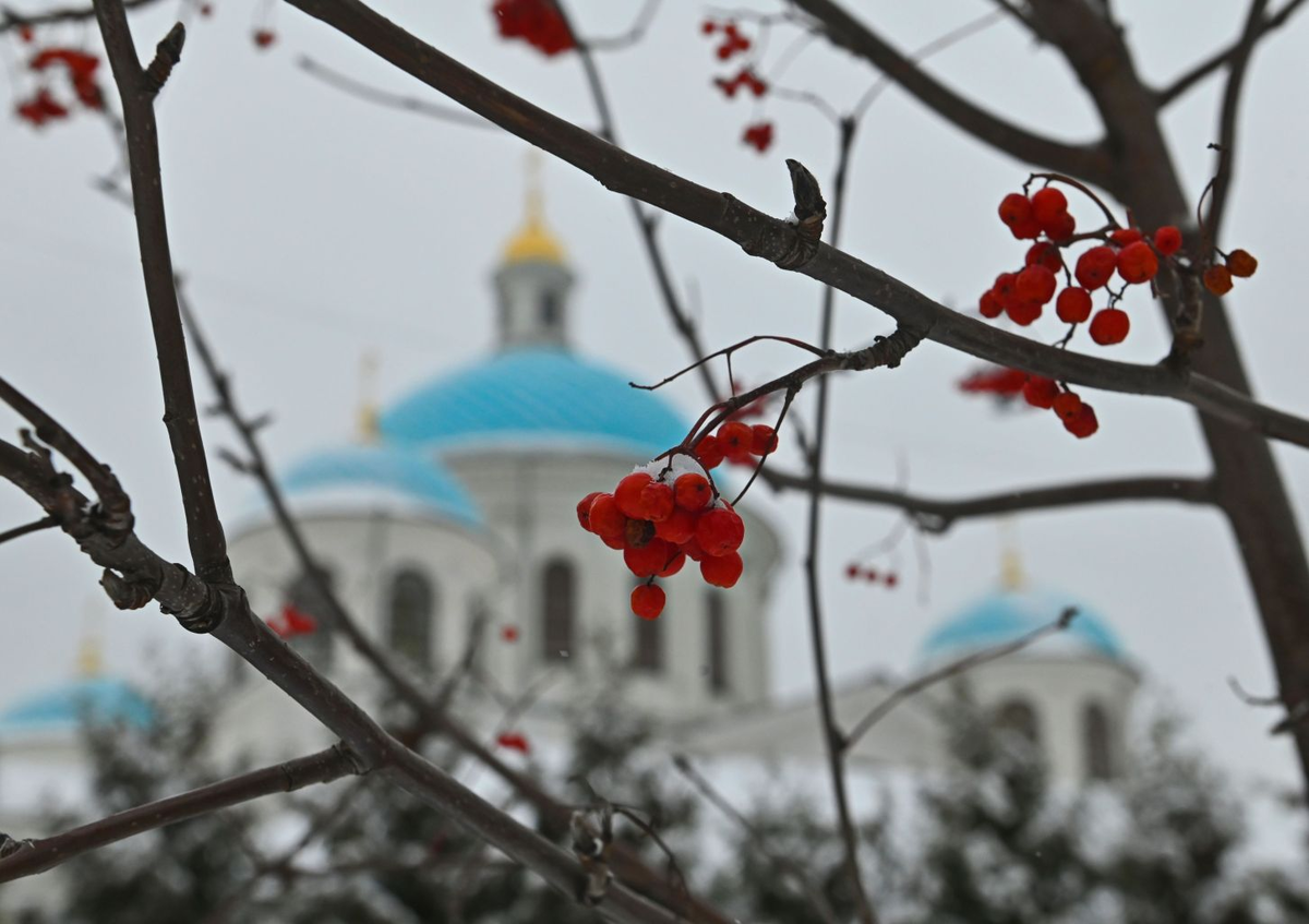 Фото: Царьград