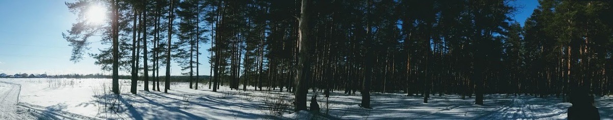 Один из последних походов в мой любимый снежный лес.