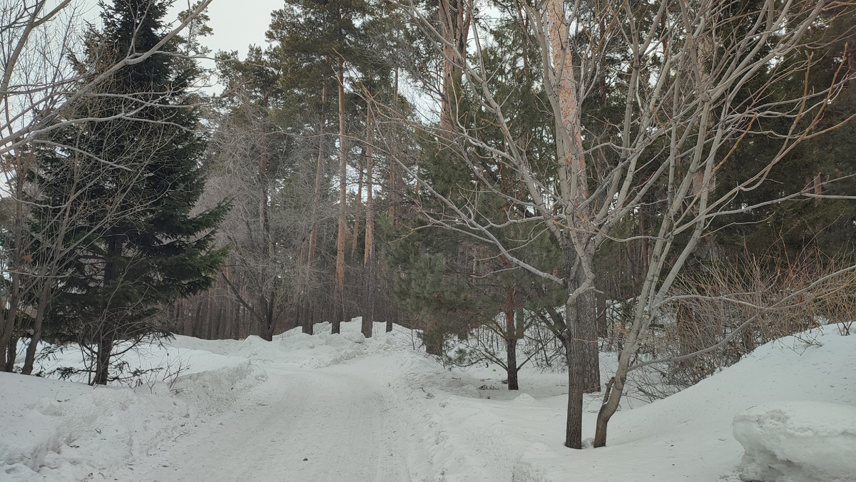 Парк в Новосибирске