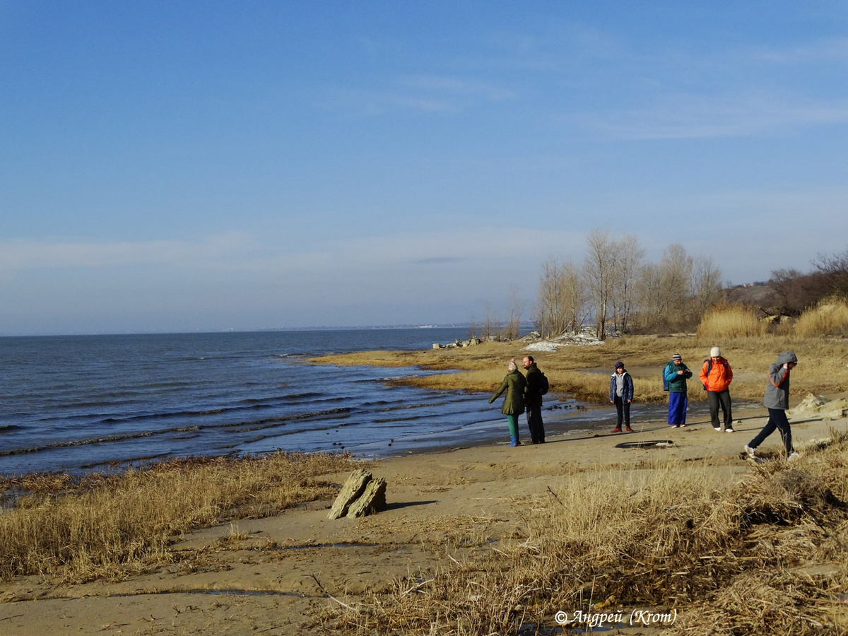 Песчаный пляж там, где сейчас камыши