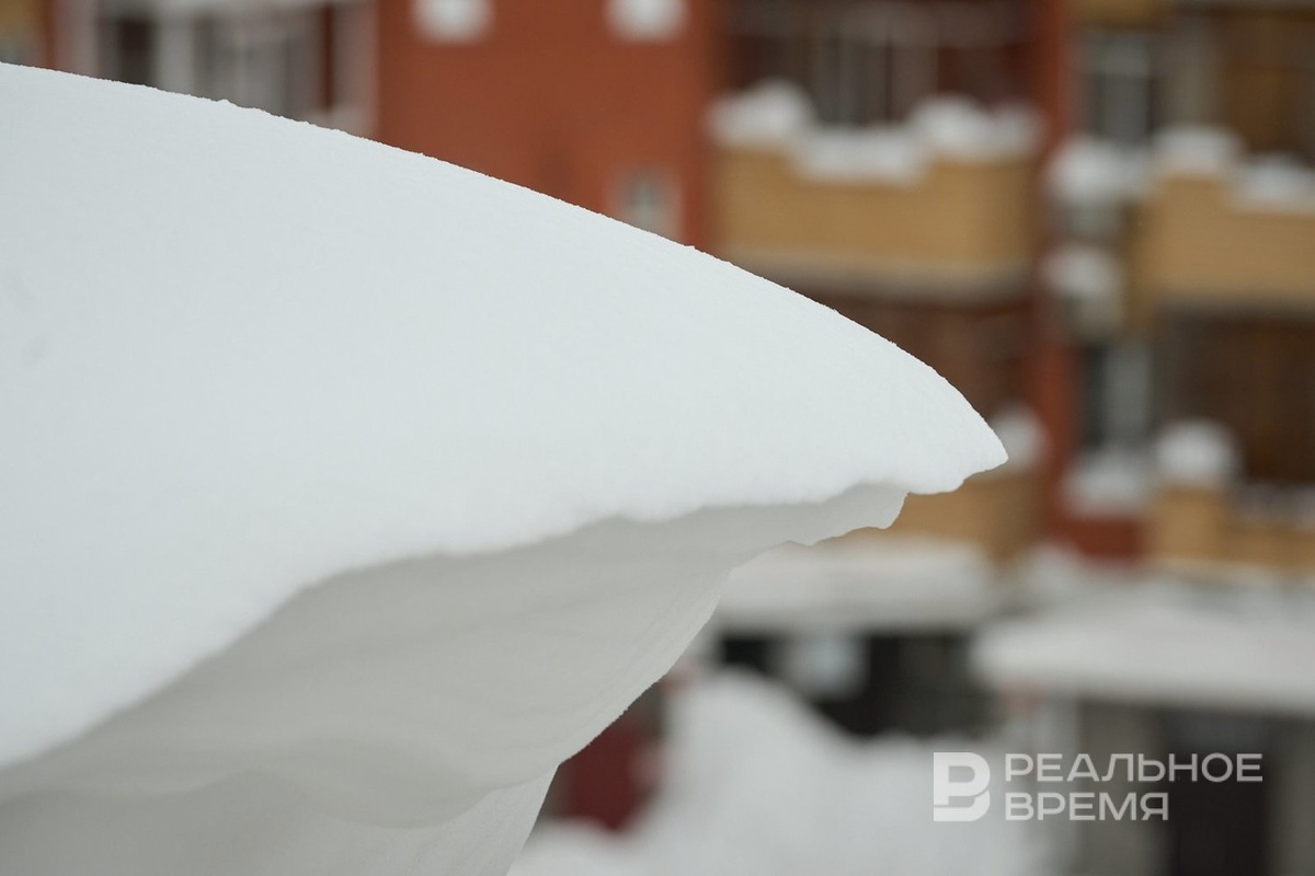   Динар Фатыхов / realnoevremya.ru