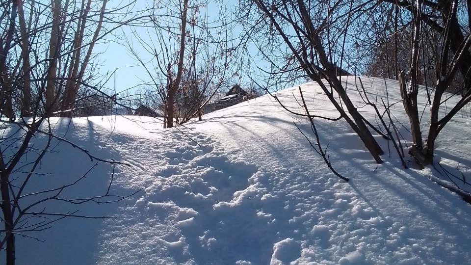 Тающий снег в лесу: история исчезающих следов