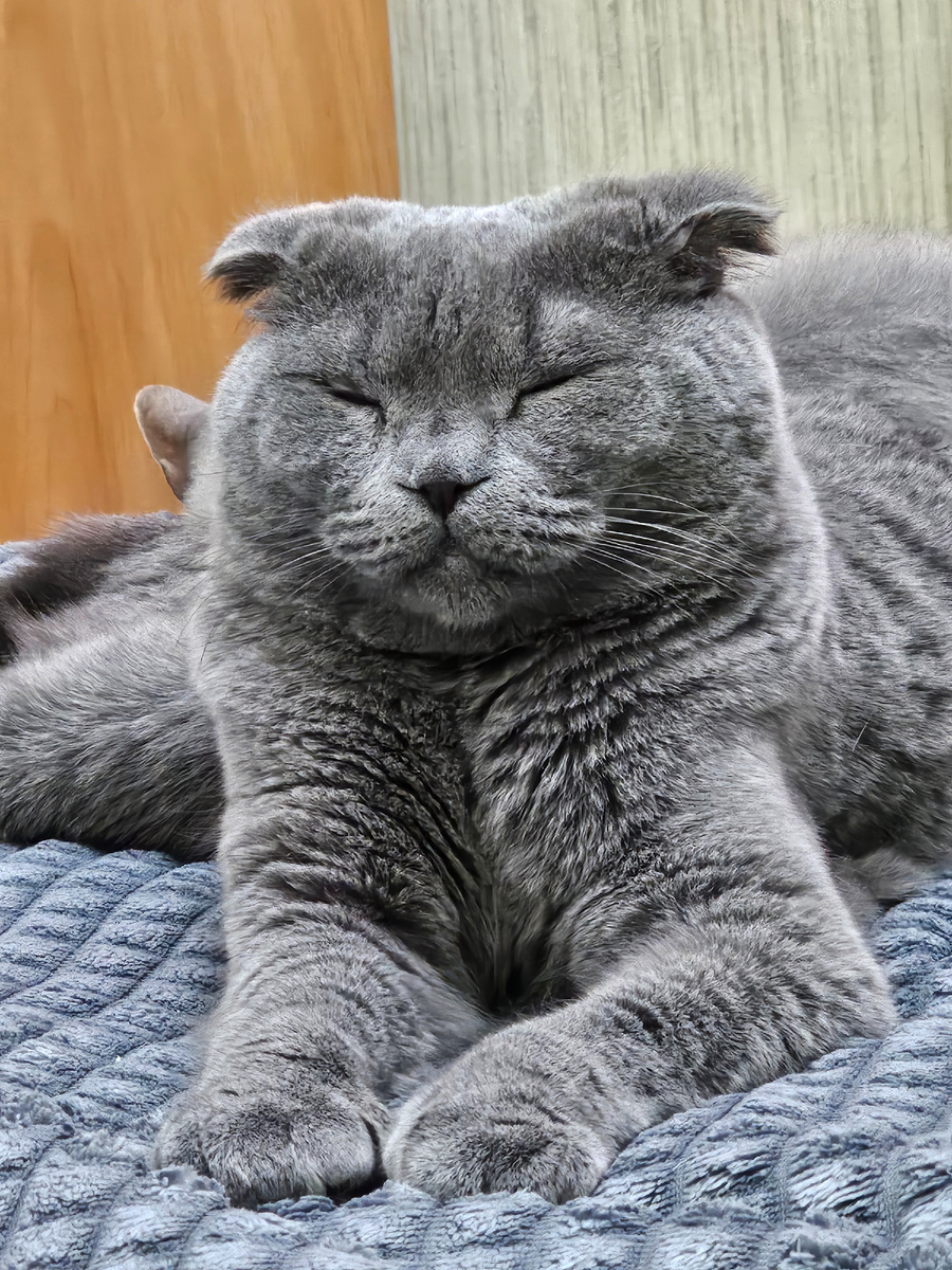 Грей прикрыл глаза