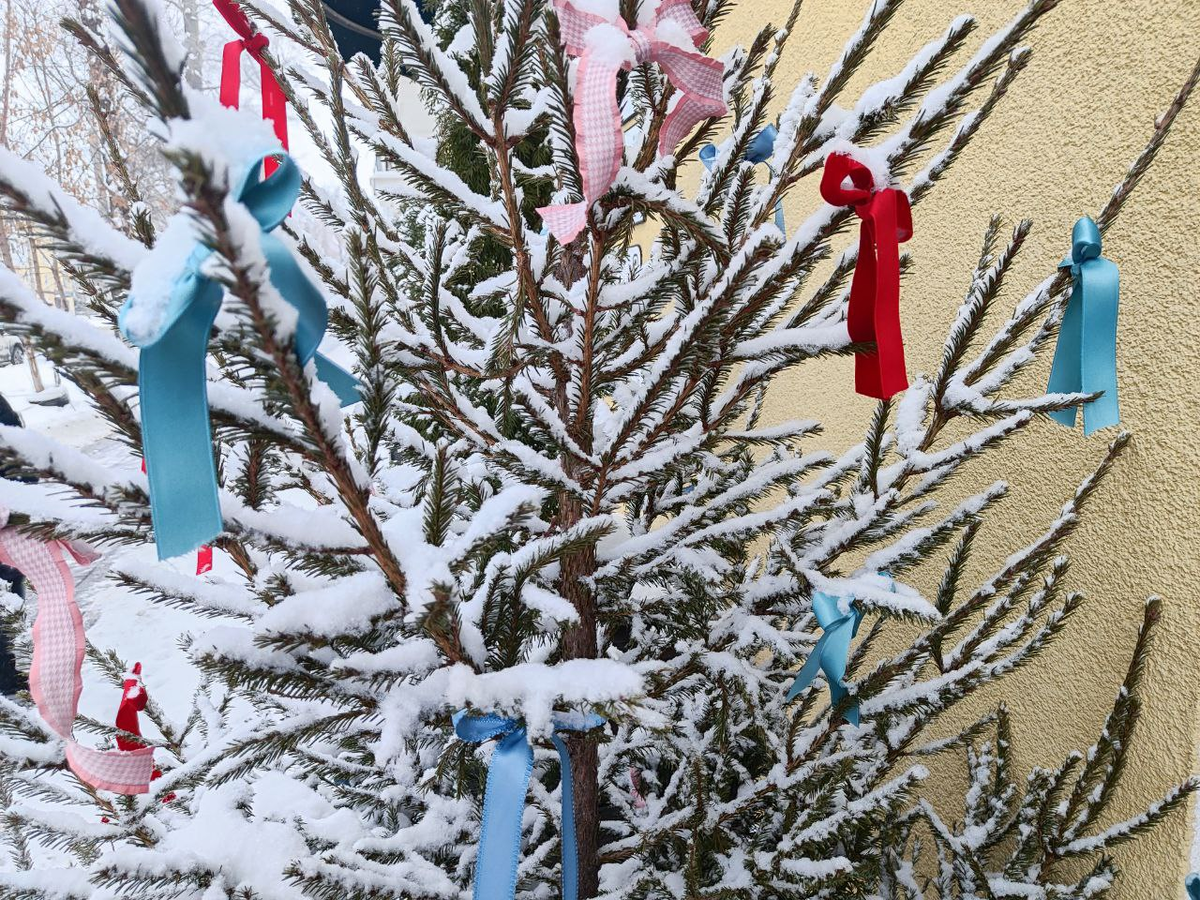 Фото автора.