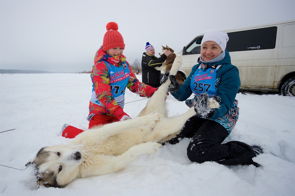 Фото: Кирилл Сиротюк, sfotoz.ru