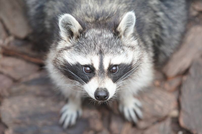     / Источник: © ИЗВЕСТИЯ