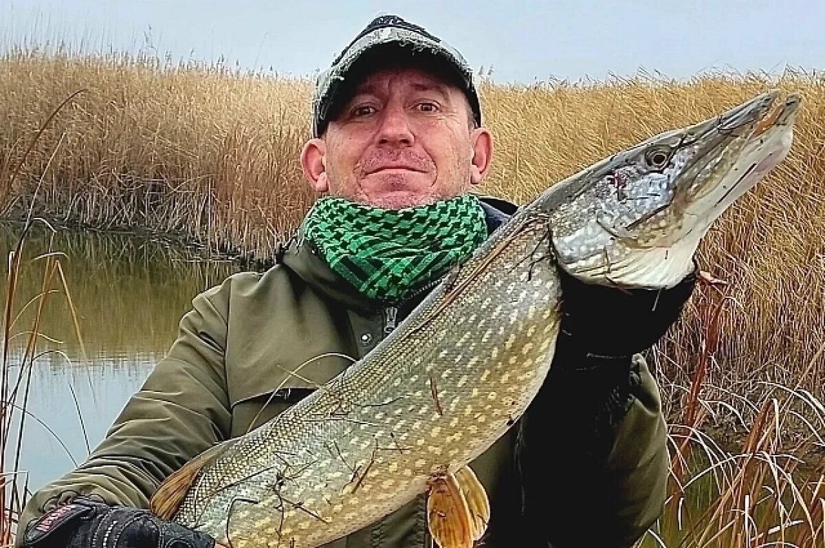    Покоритель Сети.