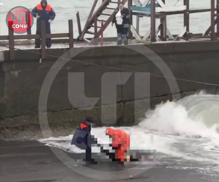 кадр из видео: Telegram/ЧП Сочи  📷
