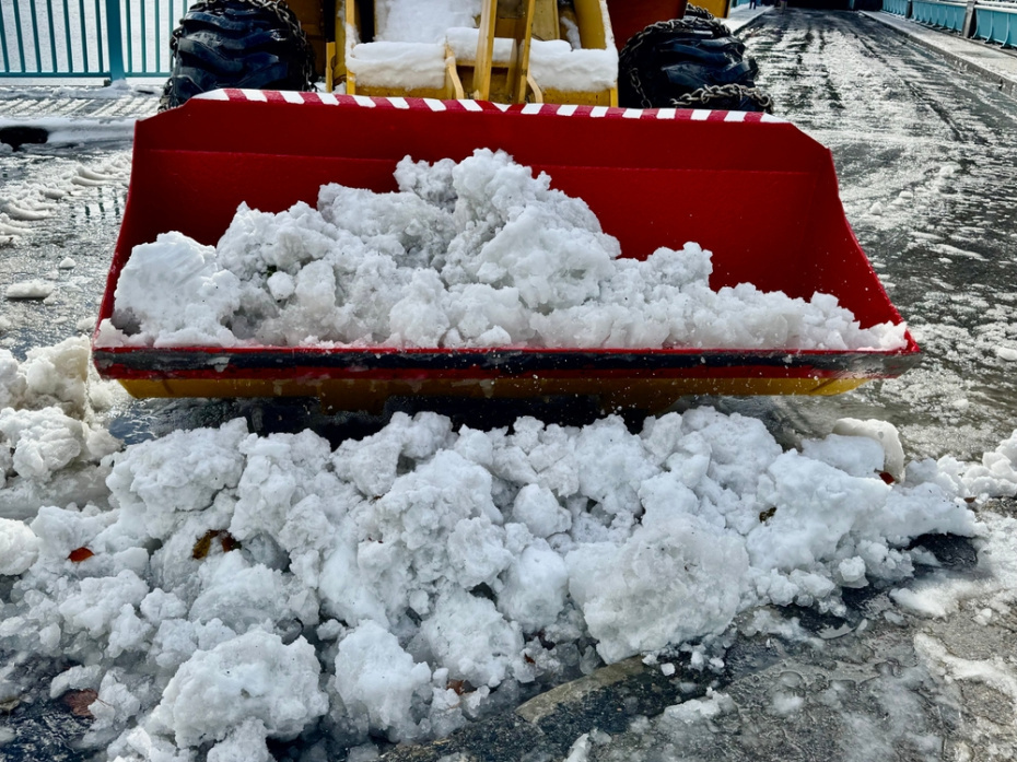    Shutterstock/FOTODOM