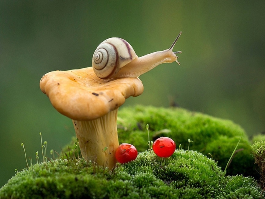     Фото: 1zoom.ru/kycb