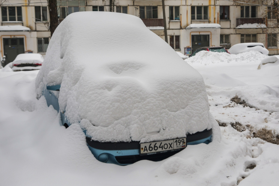    Наталья Шатохина/NEWS.ru