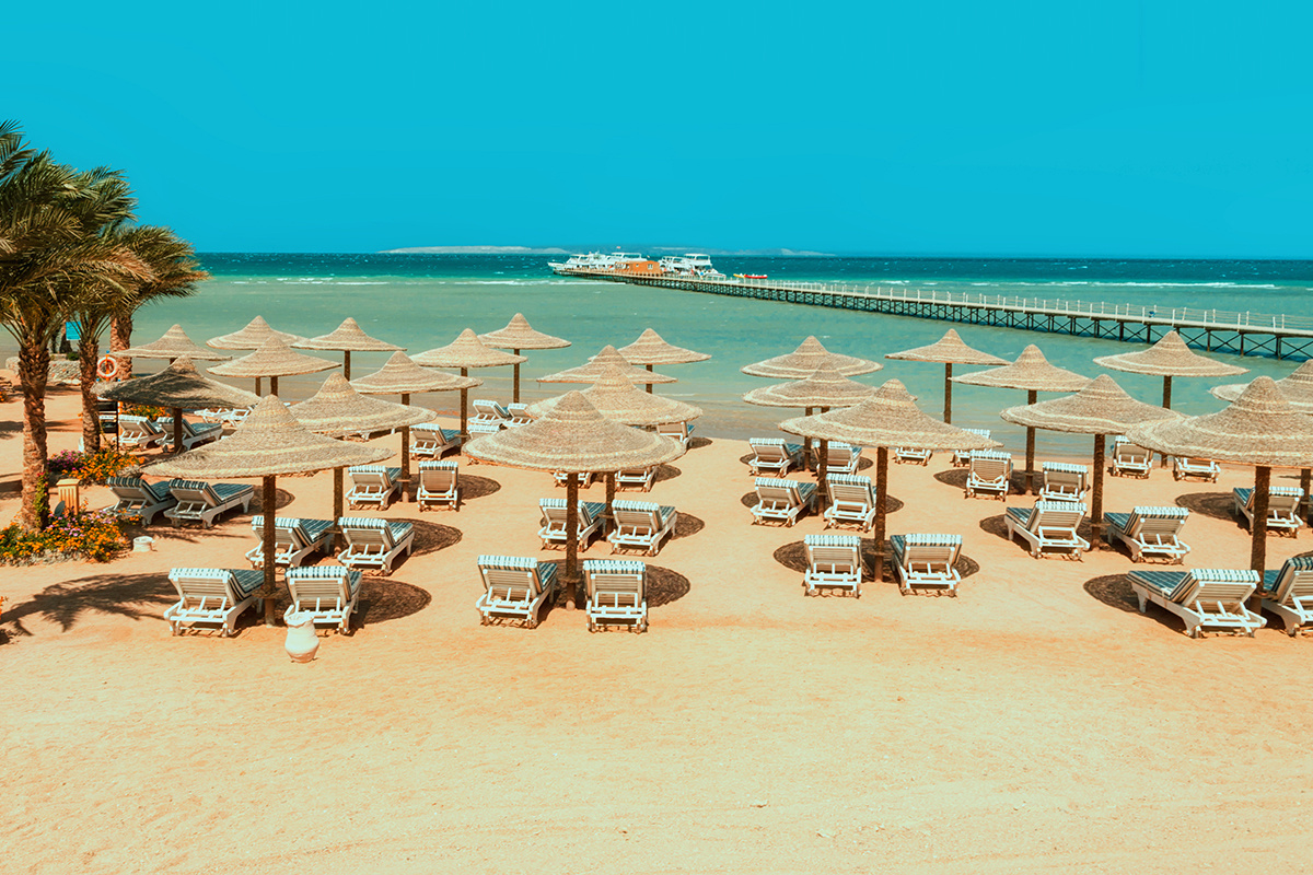    Фото: Stanley Kalvan / Shutterstock.com