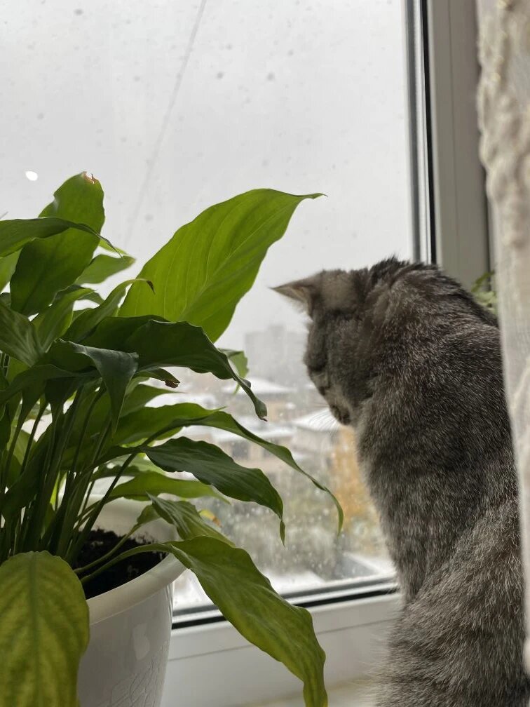 Ничего не бывает во время...